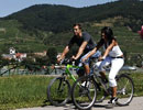 Radfahrer in der Wachau